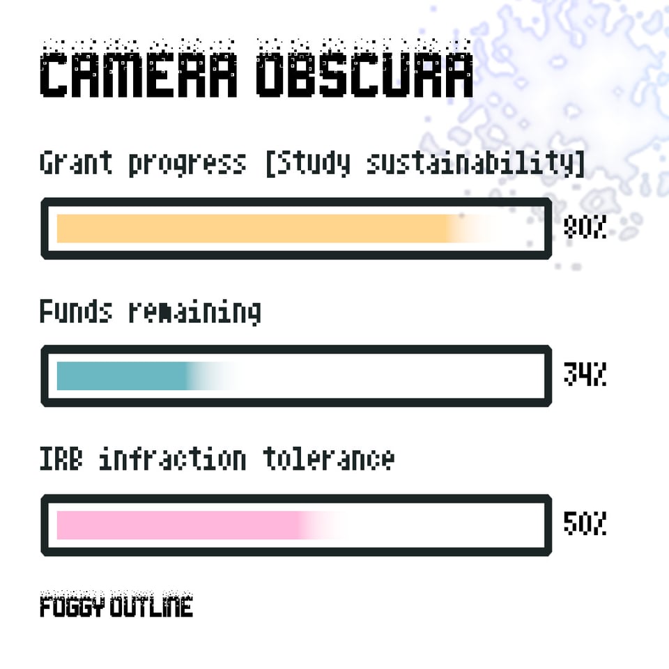 Camera Obscura from Foggy Outline. Grant progress 80%. Funds remaining 34%. IRB infraction tolerance 50%.