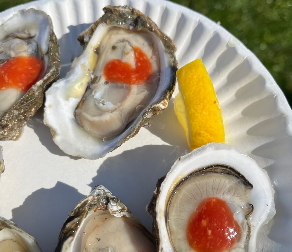 Oysters on a paper plate with cocktail sauce