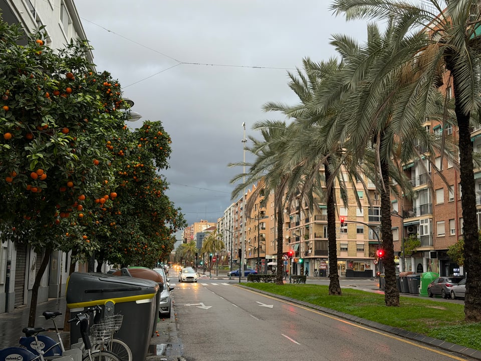 Rain clouds in the distance at the end of a long avenue in Valencia with palm trees in the middle and orange trees on the left hand side.