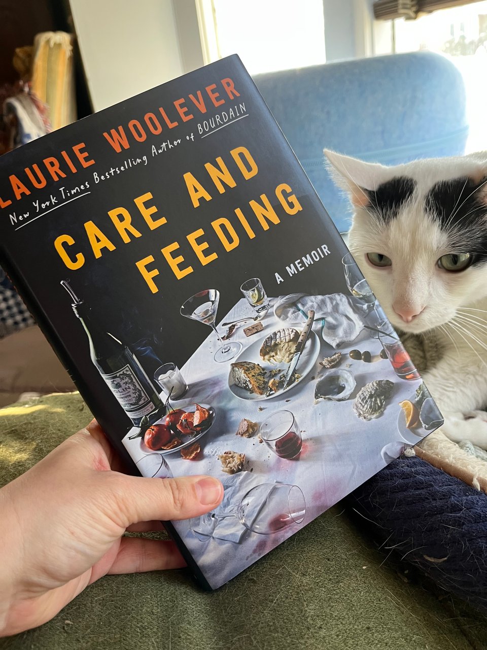 A white person's hand holds a hardcover book, Care and Feeding by Laurie Woolever, posed in front of a white cat with black spots.