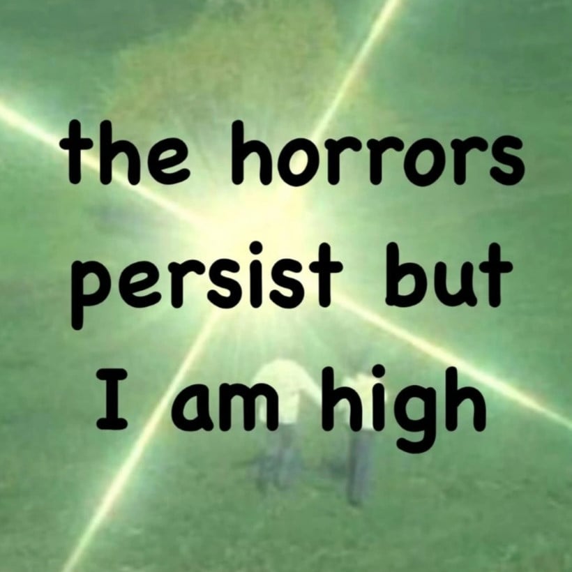 An image of two people running across a grass field with a bright lens flare obscuring the image. Overlaid text reads: the horrors persist but I am high