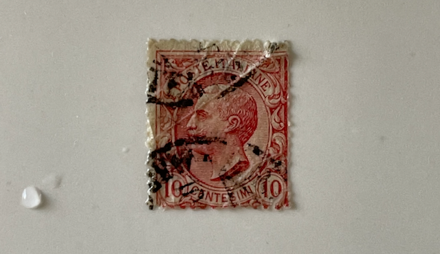 IMG_6559 (1).png
