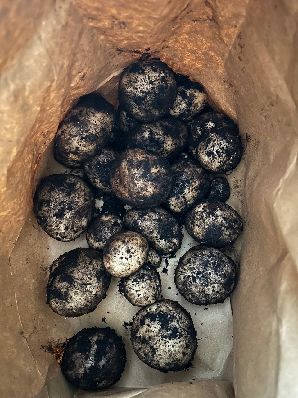 Small potatoes with soil on them in a brown paper bag.