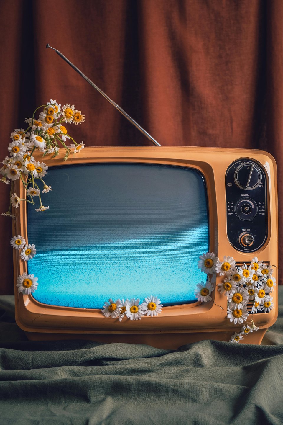 Image of a TV with flowers sticking out of it.