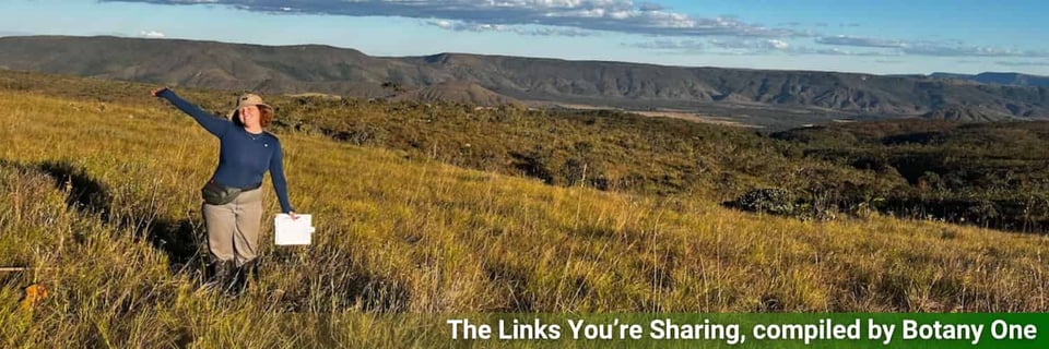 A botanist enjoying fieldwork