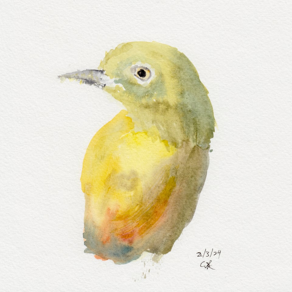 Watercolor sketch of a Japanese White-Eye bird
