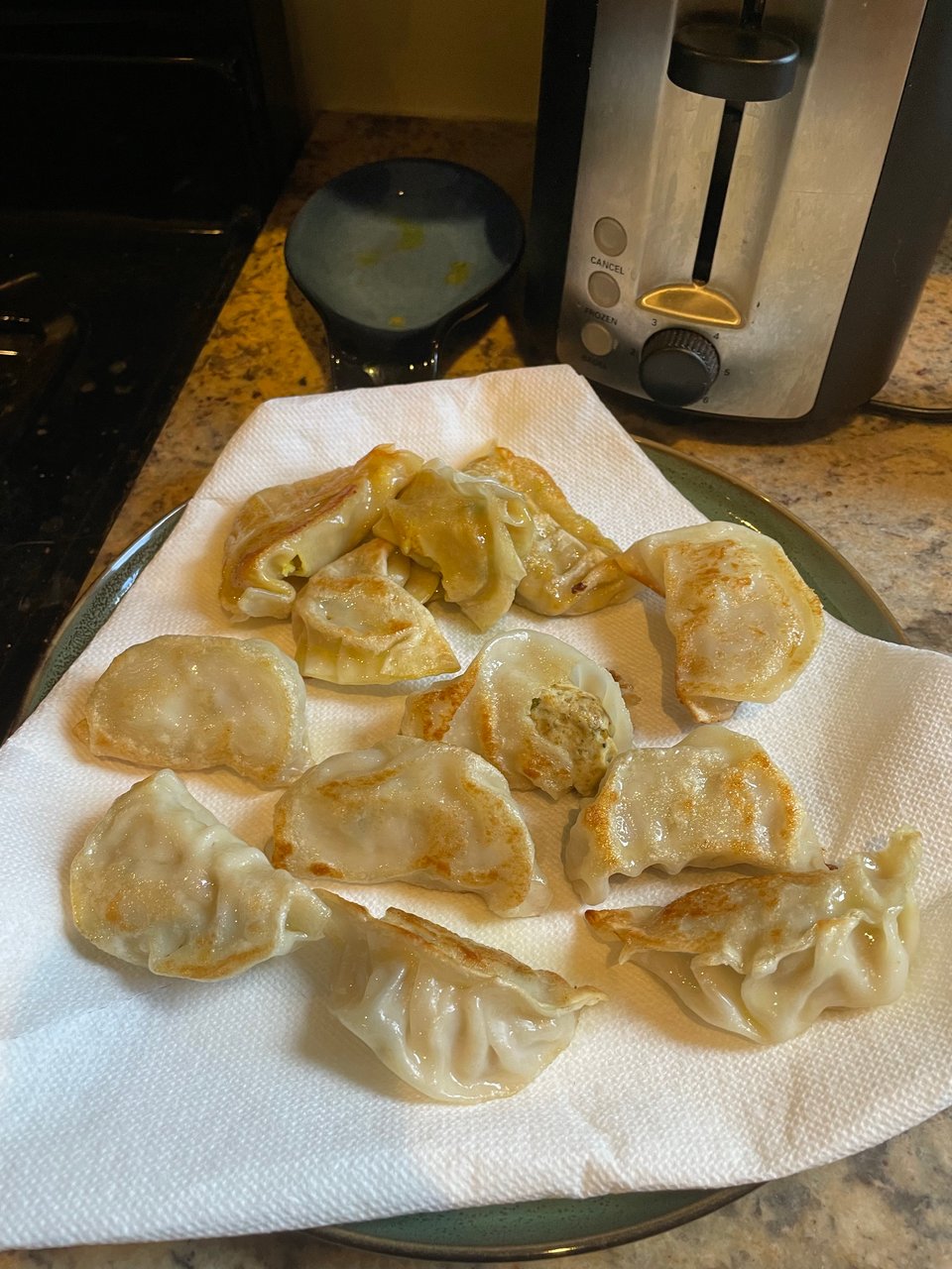 Chicken and vegetarian dumplings