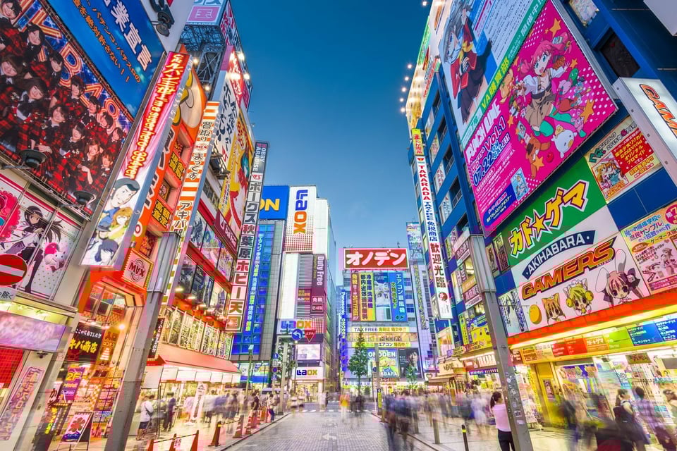 The neon lights of Akihabara.