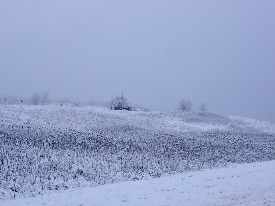 Winter brings a subdued color palette to Frontenac State Park. / Photo by Steve Dietz