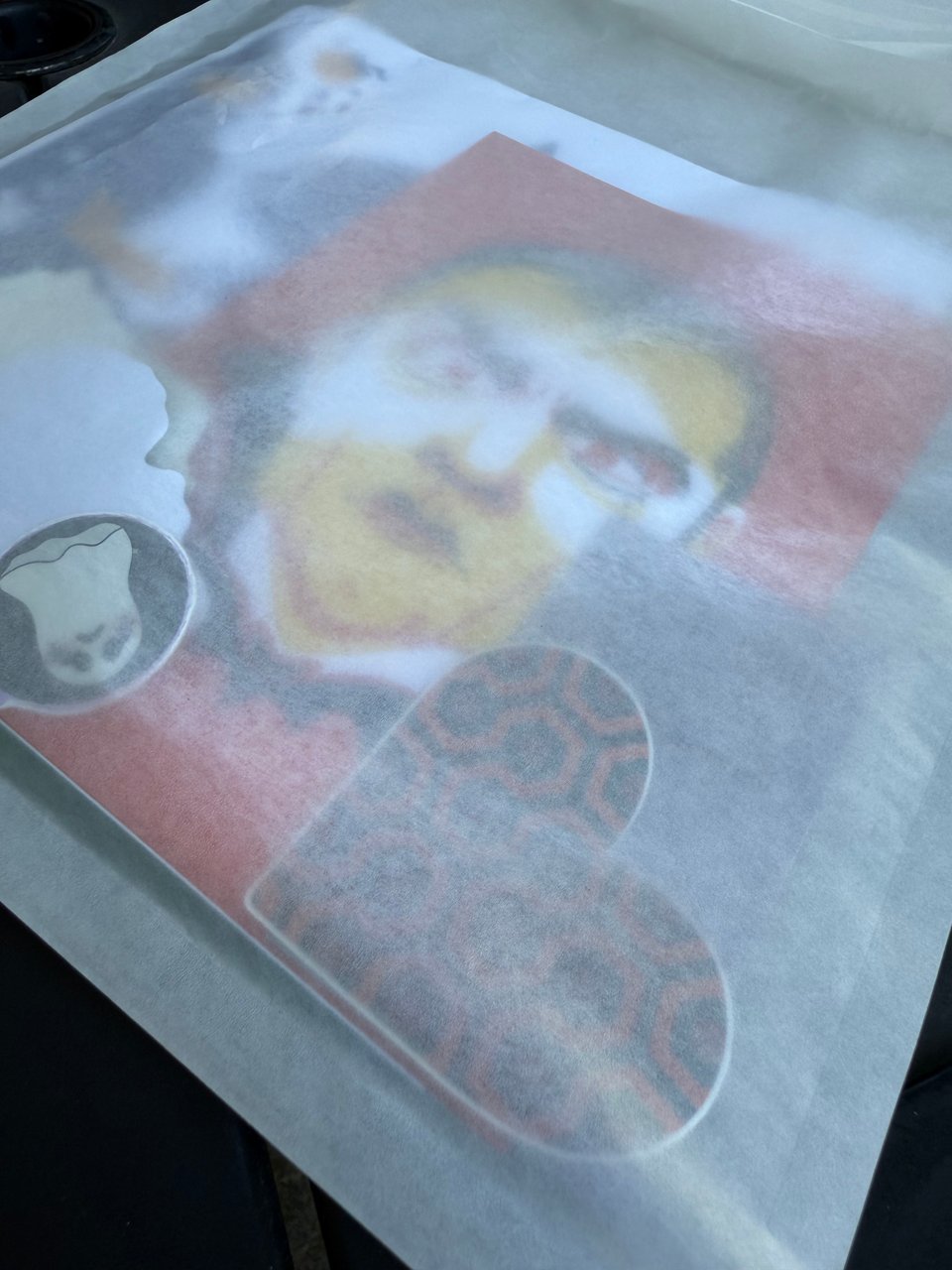 A semi-transparent bag with a Dracula face and a heart-shaped sticker with the Shining carpet print showing through it