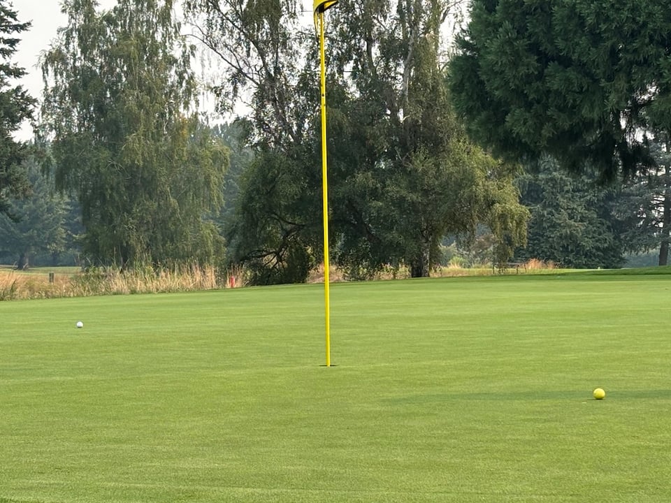 two balls on the green of #17