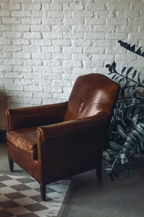 A photo of a dark brown leather armchair, with no-one sitting in it. There's some sort of plant to the right, a white-painted brick wall behind it, and a black-and-white checkered rug beneath. It looks cozy even though you can instantly tell it's stock photography, lol
