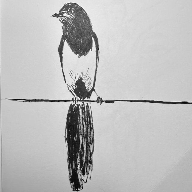 B/W brush-pen sketch of a bird on a wire