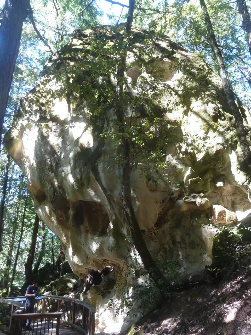 Tafoni Sandstone through dappled skies