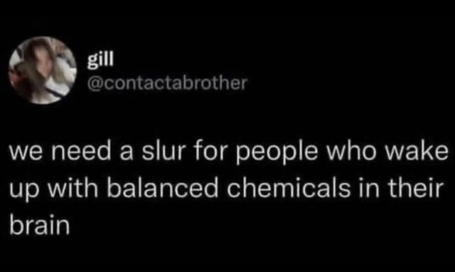 Twitter screenshot from @contactabrother: we need a slur for people who wake up with balanced chemicals in their brain