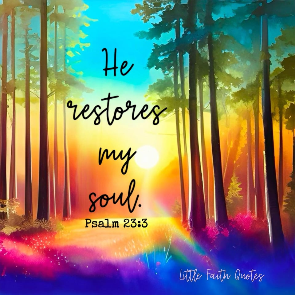 "He restores my soul. He leads me in paths of righteousness for His name’s sake." ~Psalm 23:3. The sun sets over a beautiful forest. A meadow of purple, pink, and yellow grass stretches out under the trees. Image by: @Little Faith Quotes.
