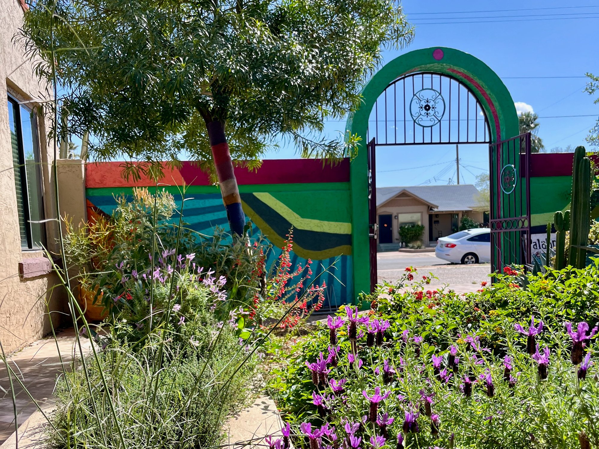 The courtyard at Nurture House in Phoenix in bloom: purple and red flowers, greenery, and cactus. The painted archway in the background.