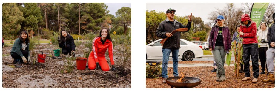 Pictures of happy (and possibly slightly cold and damp) people planting trees and bushes.