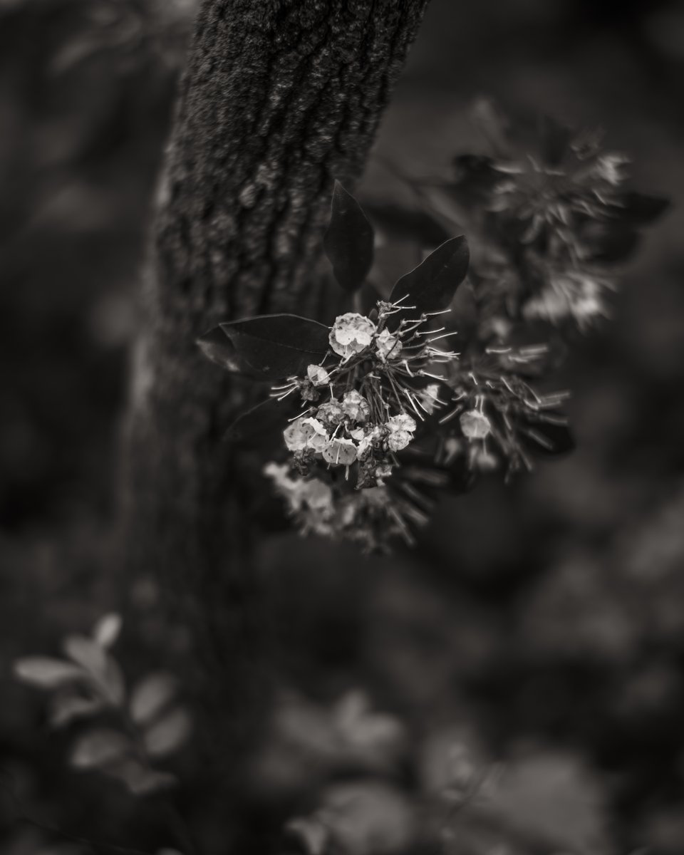 Cody Schultz - DSCF5517.jpg