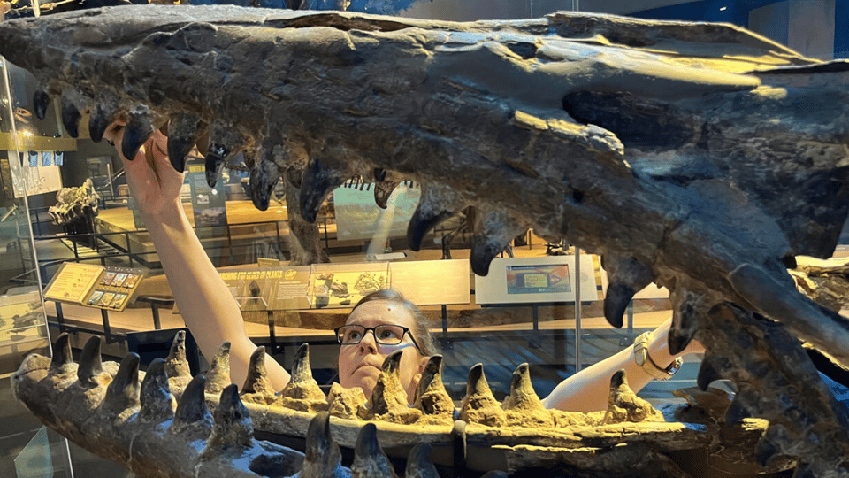 Amelia Zietlow studying the skull of the holotype Tylosaurus rex at the Perot Museum in Dallas.
