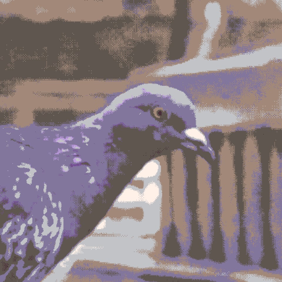 a pixelated image of a pigeon