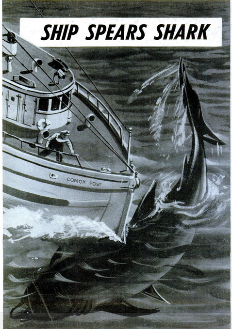 Black and white illustration of a boat ramming a shark