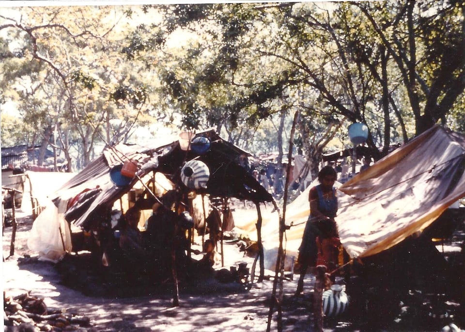 Several tents held up with sticks pitched beneath leafy trees; a few shadowy figures.