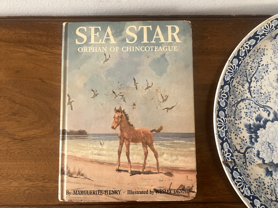 The author’s copy of Sea Star, worn and well-read.