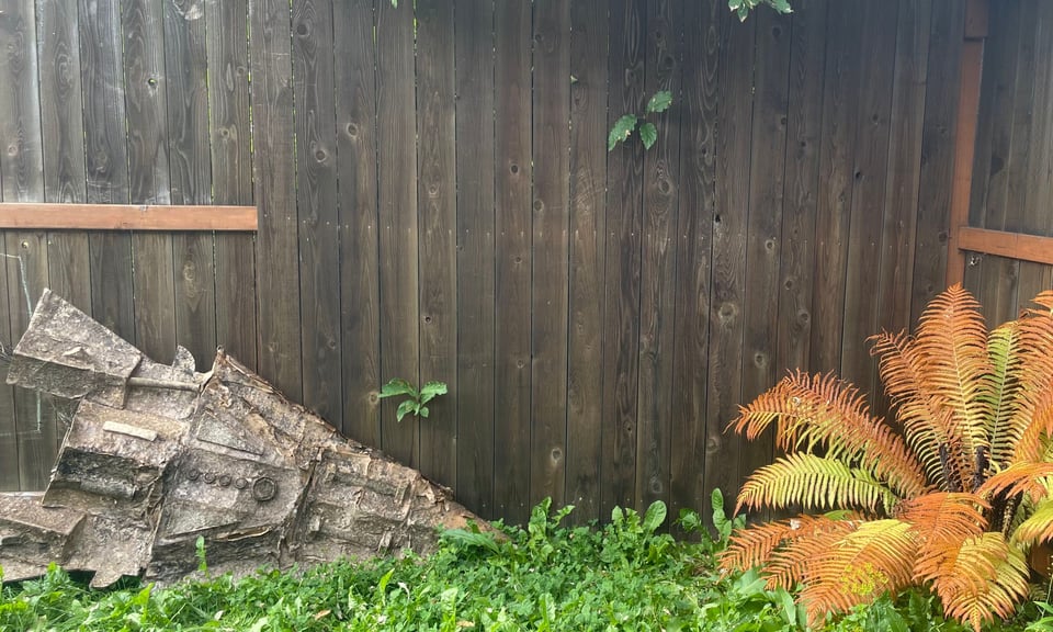 Spaceship sculpture and orange fern.