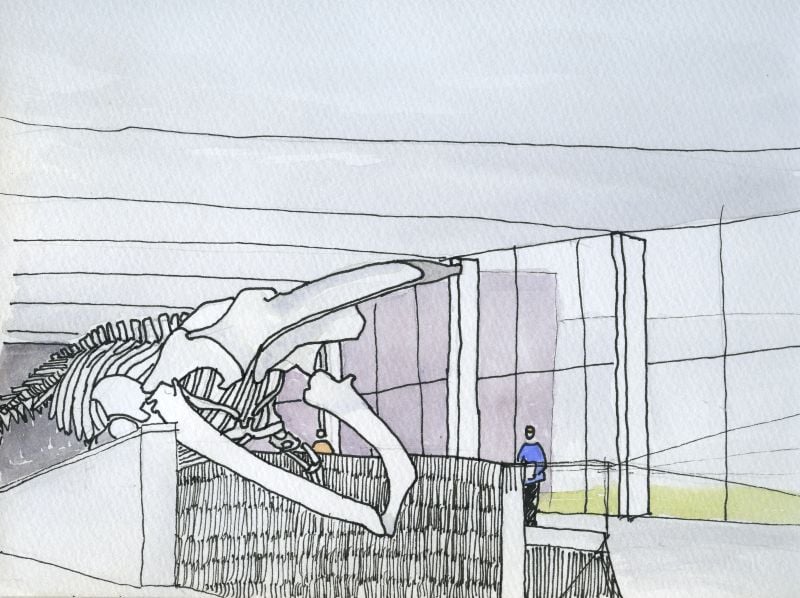 sketch of museum