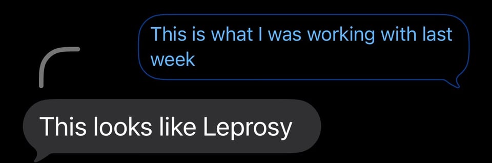 Screenshot of a text message with someone saying "This looks like Leprosy" in response to the (not shown) photo of my bug bites.