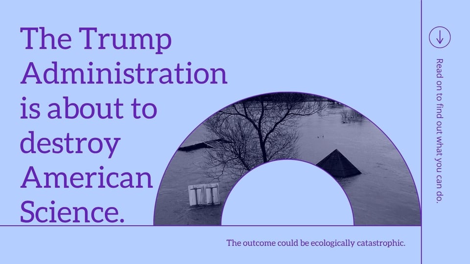 The Trump Administration is about to destroy American science. Read on to find out what you can do. The outcome could be ecologically catastrophic.