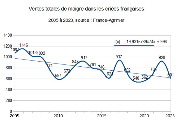 Historique des ventes de maigres dans les criées françaises 2005-2023