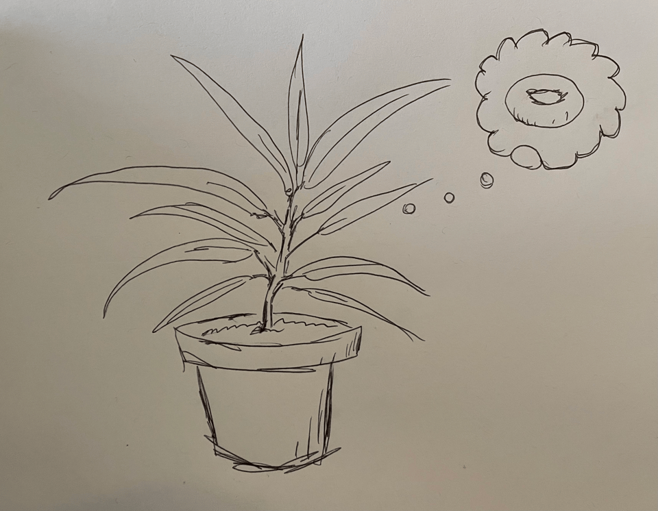 A rough sketch of a little plant daydreaming about a donut