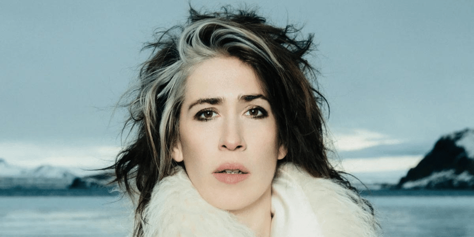 Headshot of Imogen Heap, messy brown hair with a cool grey streak.
