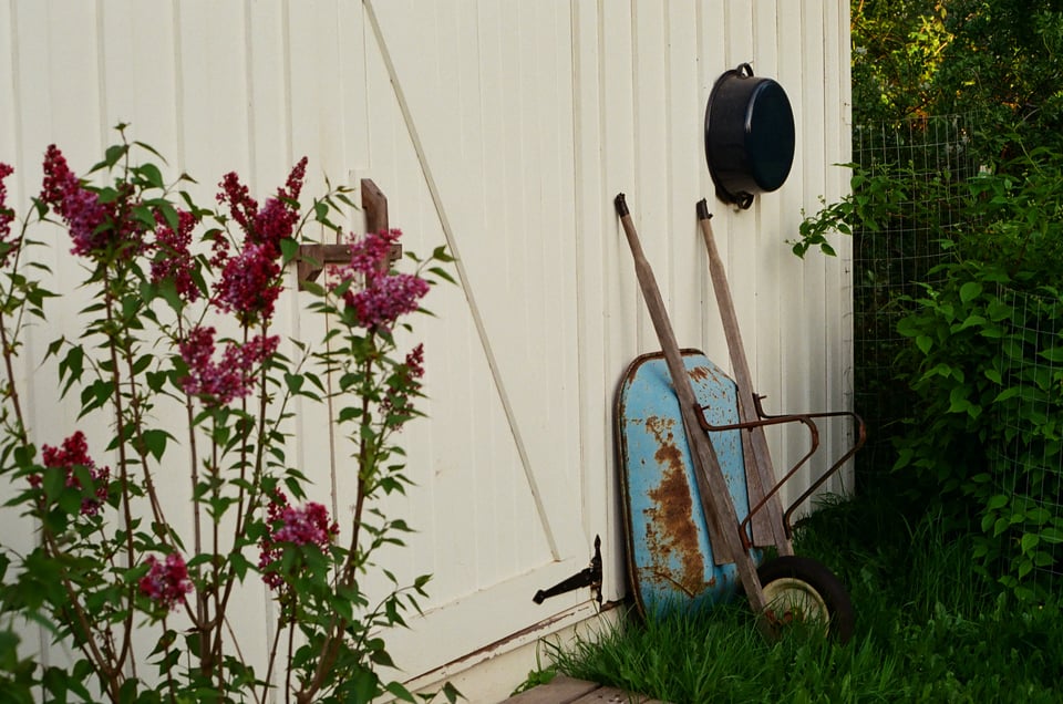 the woodshed behind the barn