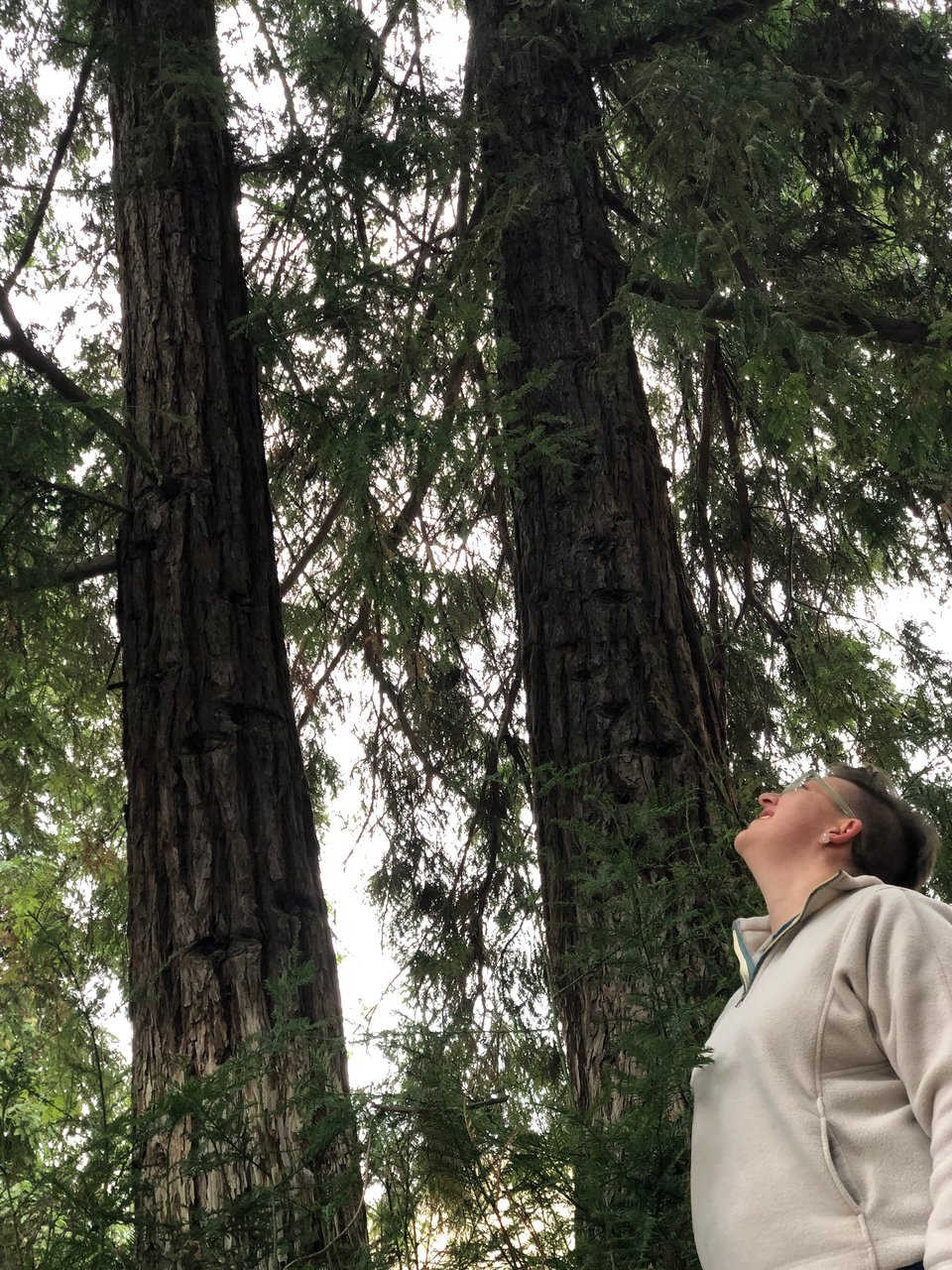 A white woman in a white fleece jacket looking up at some trees