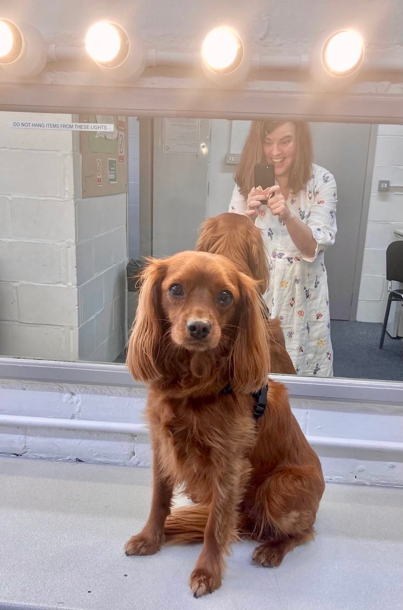 A cute dog gets photographed.