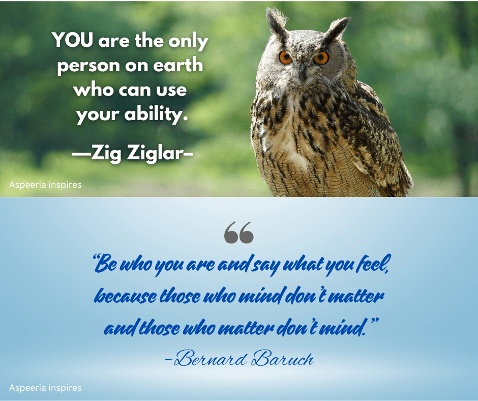 Photo of an owl with quotes from Zig Ziglar and Bernard Baruch