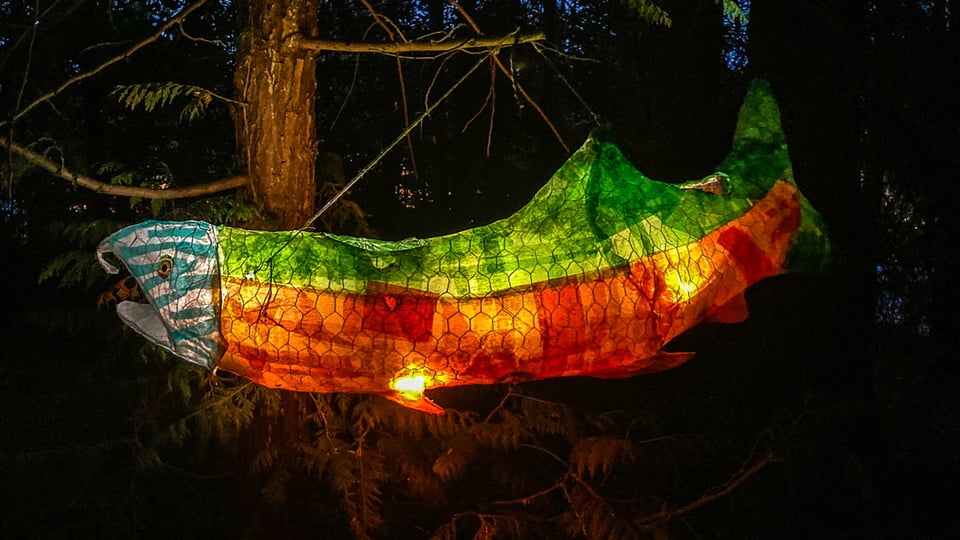 A large paper lantern in the shape of a salmon, with the pronounced hooked nose of a male ready to spawn. It's lit from inside by some LEDs, and hanging in a redcedar tree.