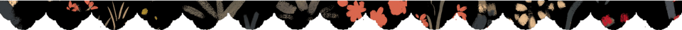 Border.png
