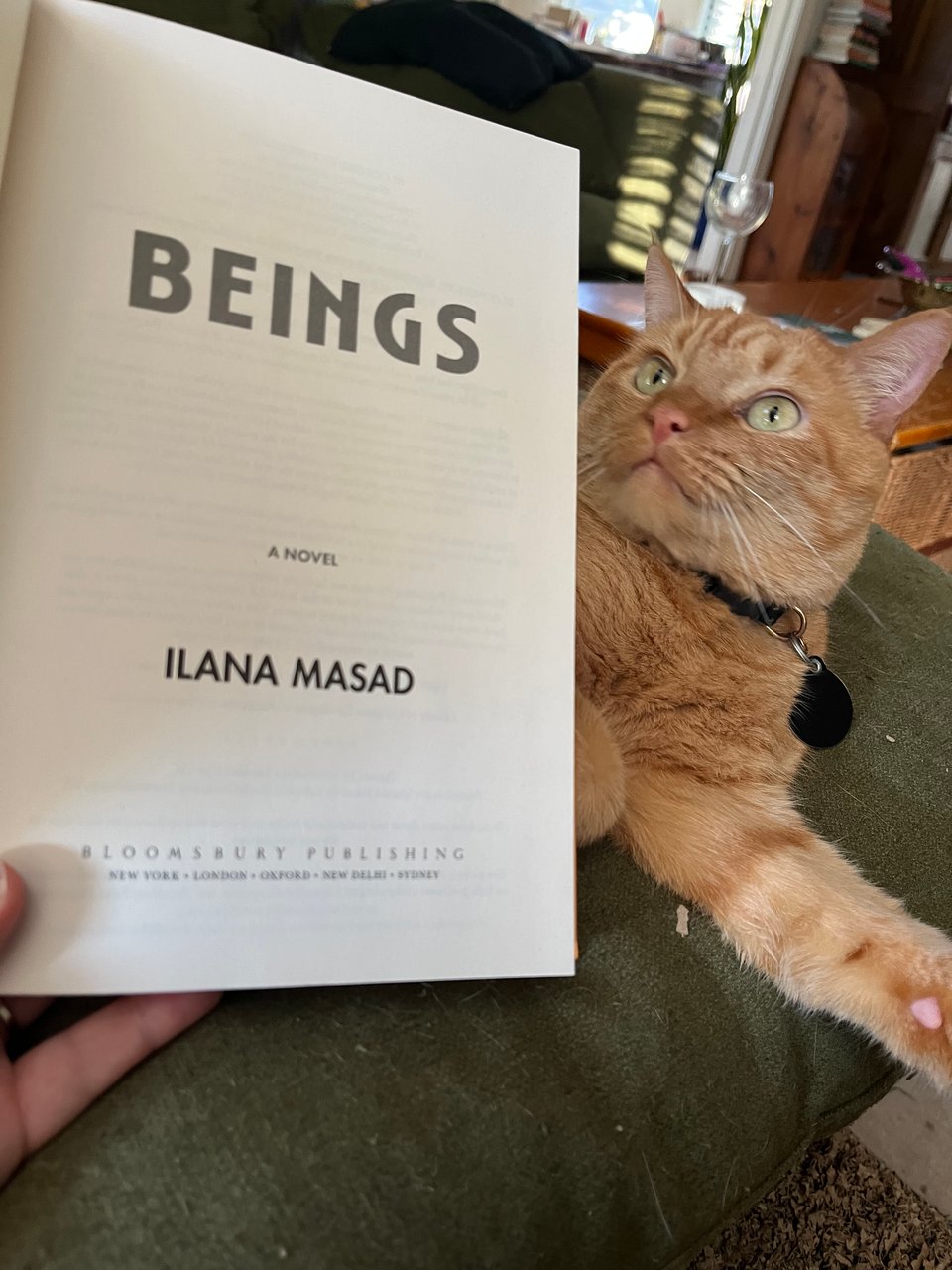 A white person's hand holds a book open to the title page. The book is Beings by Ilana Masad. The book is posed in front of an orange tabby cat, who is looking off in the distance beyond the book and the person holding it.