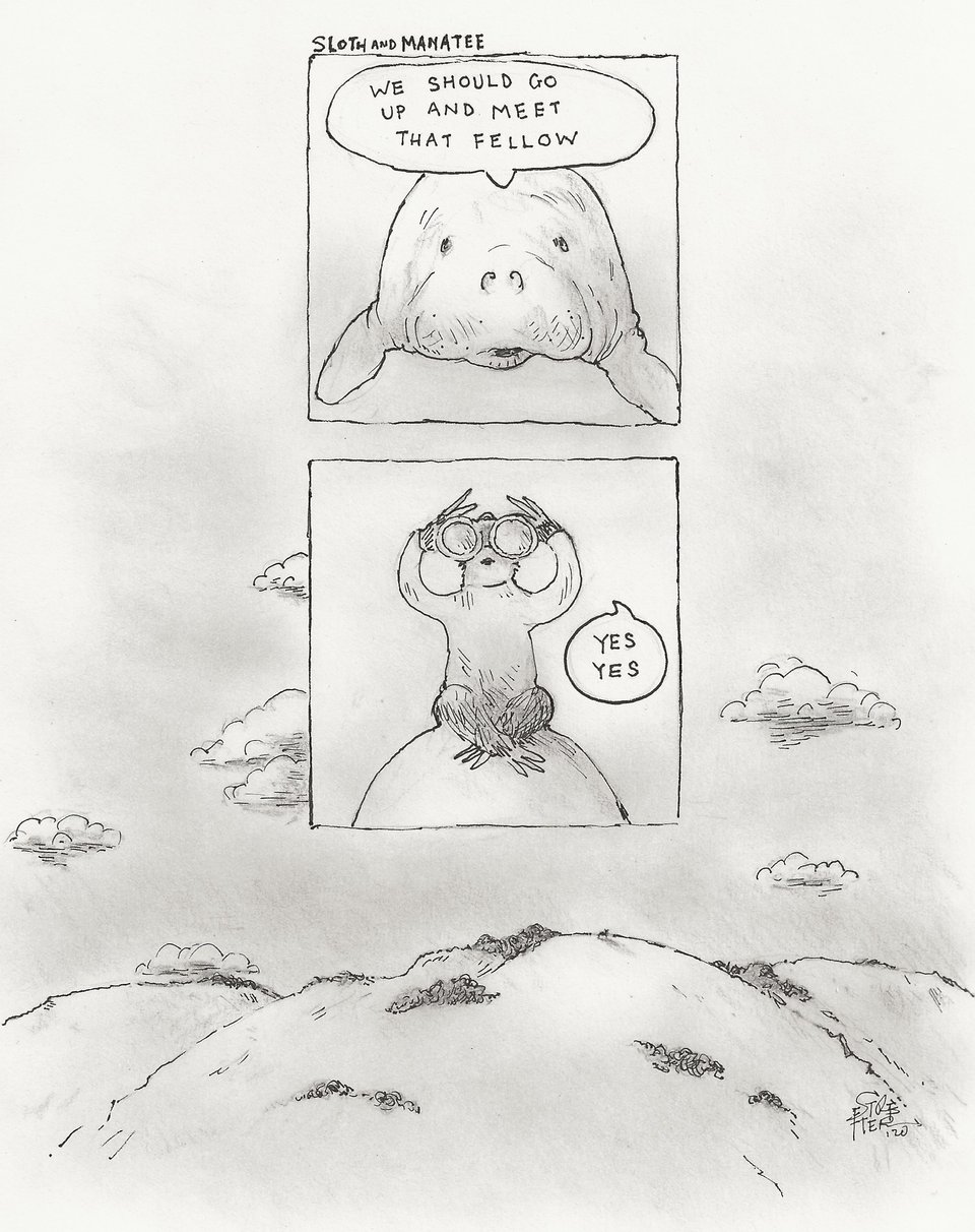 Sloth and Manatee comic