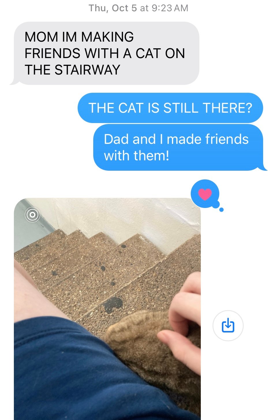 screenshot of a text that reads (in all caps)