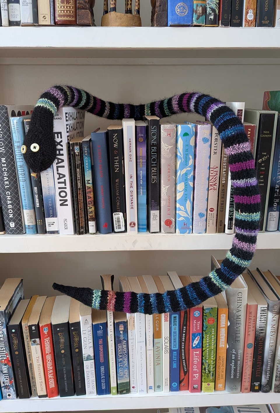LeVar the knitted book snake is stretched out across two shelves full of books so that you can see all of his stripes. Near the end of his tail is a block of six stripes in a row that are all the same color of blueish yarn; the rest of his stripes are more varied, representing a more even distribution of book genres read. He has gold button eyes and his tail and head and intercalary stripes are all black.