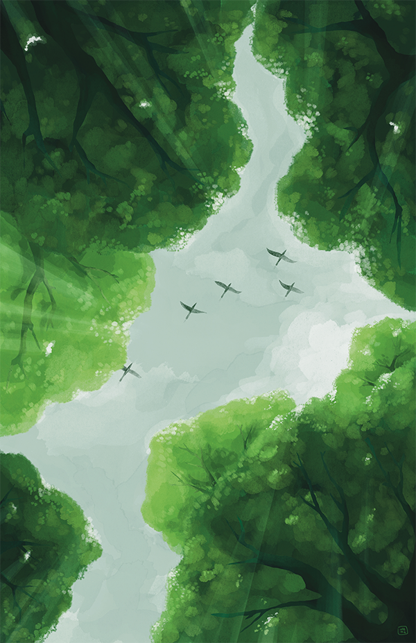 an illustration of the sky through the forest canopy with a flock of birds flying by