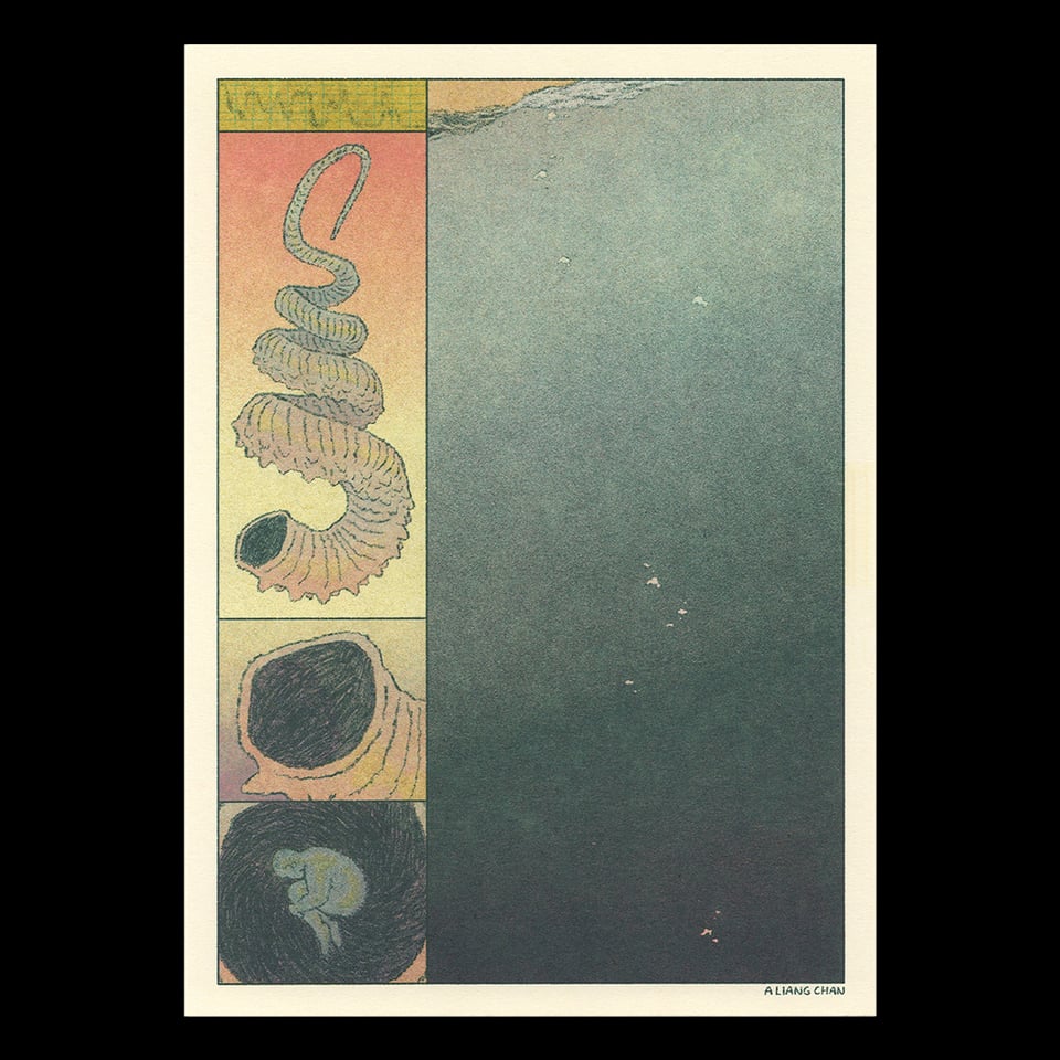 a panel of a sleep chart, or maybe a depth map; a panel of a loosely spiraling ammonoid shell, and panels closing in on the darkness of its opening revealing a curled, sleeping figure. a large panel on the right shows empty water, darkening as we descend.