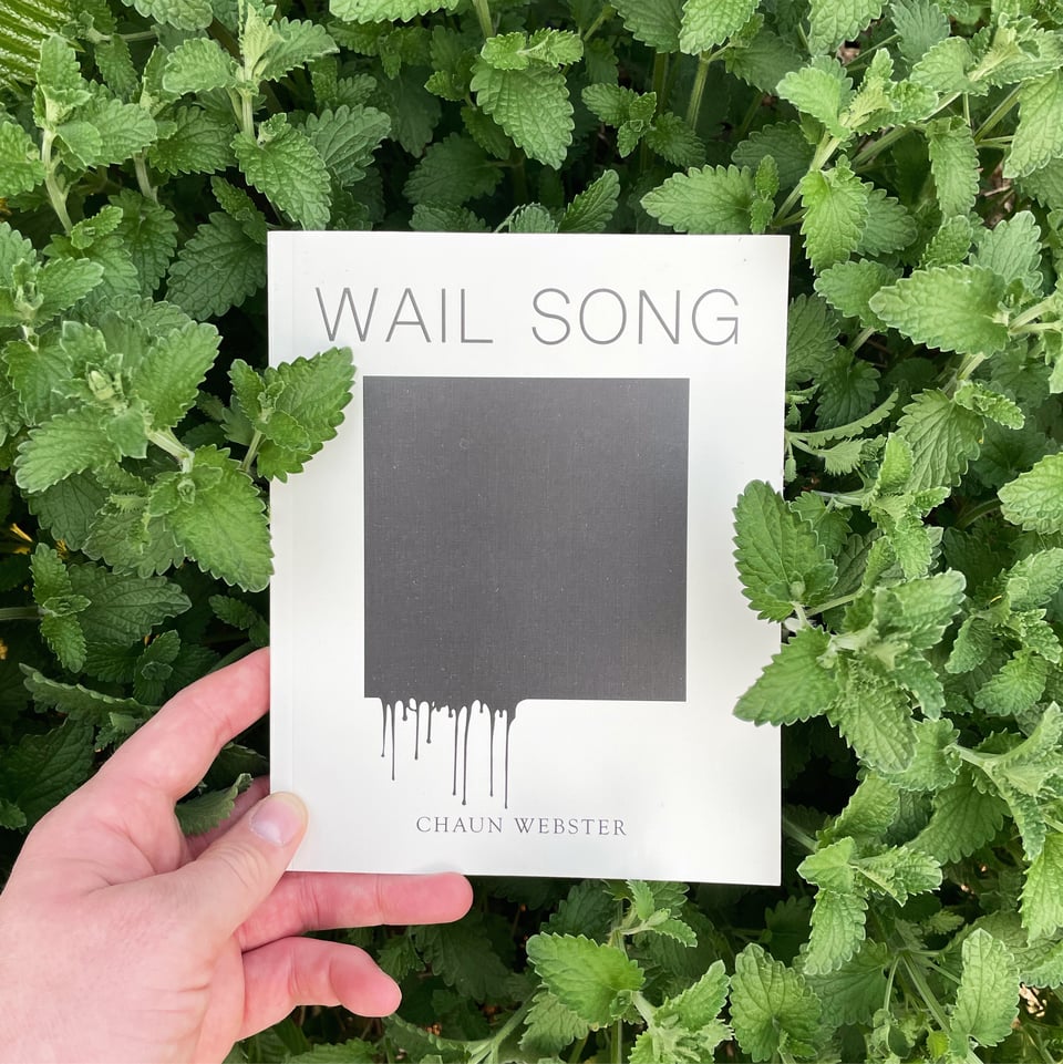 A hand holding the book Wail Song in a bush of mint. A couple of leaves slightly overlap with the cover.