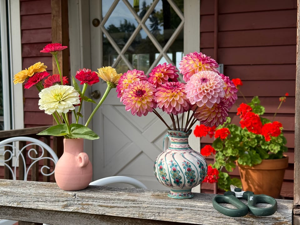 a bouquet of dahlias and zinnias on my front porch