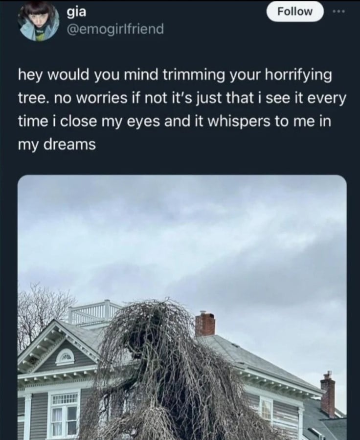 Twitter post from @emogirlfriend: "hey would you mind trimming your horrifying tree. no worries if not it's just that i see it every time i close my eyes and it whispers to me in my dreams." Below is a picture of a tree that looks kind of like a weird creature covered in long spindly fur (the branches?), but unfortunately the photo was heavily cropped, so it's hard to see it properly.